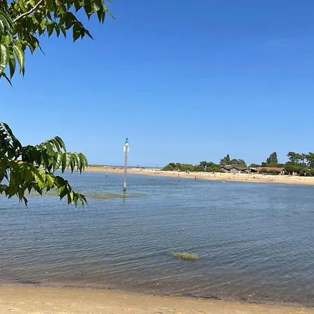 아파트 The Barbots 구장메스트라