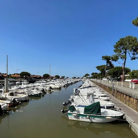 아파트 The Barbots *