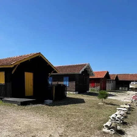 The Barbots 구장메스트라